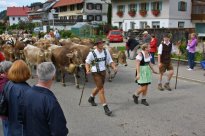 Aeltere Bilder » Veranstaltungen im Dorf » Alpabtrieb 2012